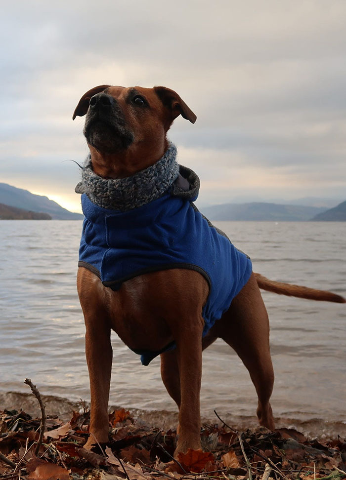 Gift of Ruby’s Journey